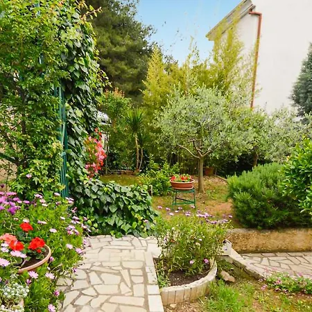 Daire Cozy In With Wifi